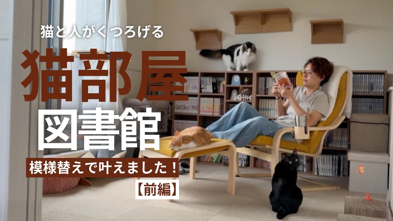 Manga Storage and LOWYA Bookshelf Review: The Ultimate Library