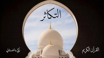 سورة التكاثر | زكي داغستاني