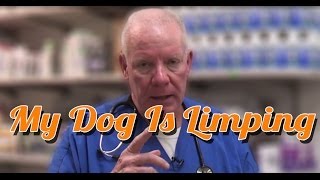 Dog Limping - My Dog Is Limping - Ask the Expert | Dr David Randall