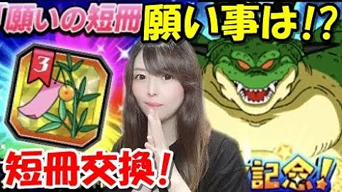 ドッカンバトル 願いの短冊