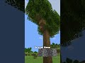 El mejor árbol de Minecraft! 😮