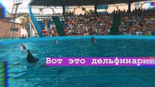 VLOG:Олимпийский парк Сочи , Поющий фонтан.АДЛЕРСКИЙ ДЕЛЬФИНАРИЙ САМЫЙ ЛУЧШИЙ!! VLOG:Олимпийский парк Сочи , Поющий фонтан.АДЛЕРСКИЙ ДЕЛЬФИНАРИЙ САМЫЙ ЛУЧШИЙ!!