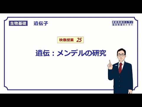 【生物基礎】　遺伝子25　メンデルの研究　（１１分）