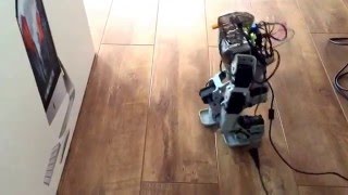 Obstacle detection attempt Humanoid Raspberry PI Zero Robot on Java