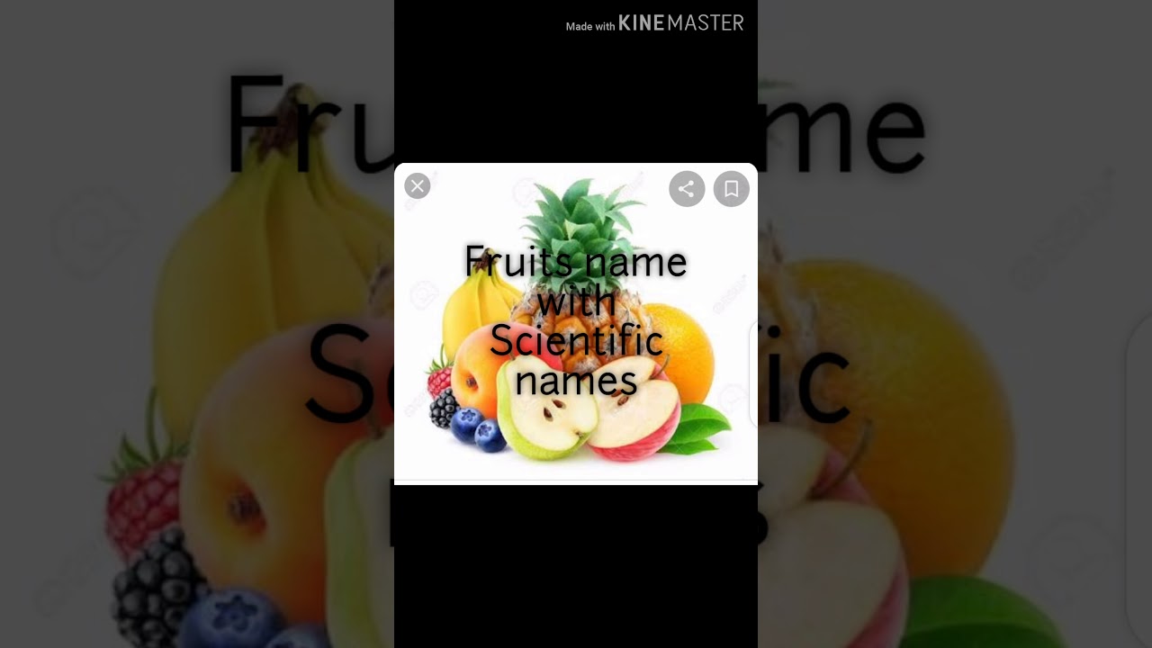 Scientific name's of Fruit's YouTube