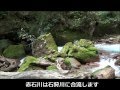 北海道層雲峡温泉 紅葉谷を散策する の動画、YouTube動画。