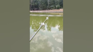 MÁY THỔI KHÍ 800W LẮP ĐẶT OXY CHO HỒ CÂU CÁ DỊCH VỤ SỤC OXY ĐÁY, TẠO OXY HÒA TAN 0973375199 ZALO