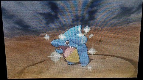 Pokemon ORAS - Shiny Gible 1st in DexNav chain