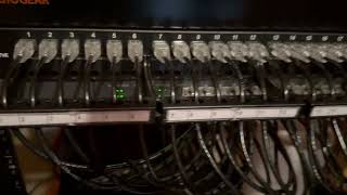 Celebrity Rapink Cat6 Ethernet Patch Cables Review Wealth