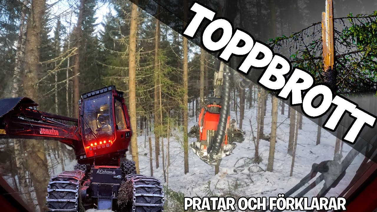 Komatsu 901 C93 | Gallrar toppbrottsskadad skog