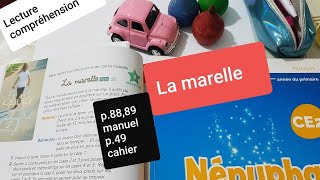 Lecture compréhension La marelle Nénuphar CE2 p.88,89 et p.49 cahier d'activités
