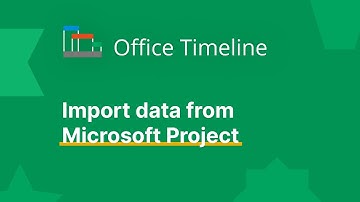 Import from MS Project | Office Timeline
