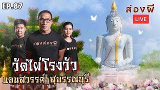 ส่องผี Live EP. 87 | วัดไผ่โรงวัว แดนสวรรค์ สุพรรณบุรี