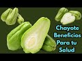 👉  Tayota o Chayote: El Superalimento que Estás Ignorando y Deberías Comer Diario 😊