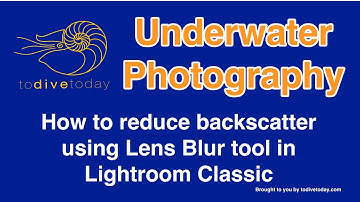 How to remove Backscatter using Lightroom from a picture taken underwater.