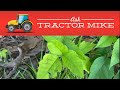 You Can Get Poison Ivy From Your Tractor