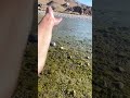 ZEHRI ZEHRI ZEHRI ZEHRI