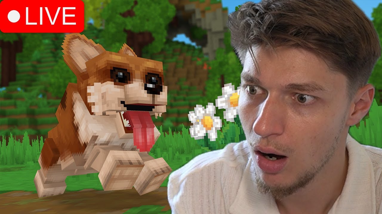 100 Jours sur HYTALE - [EP 06]
