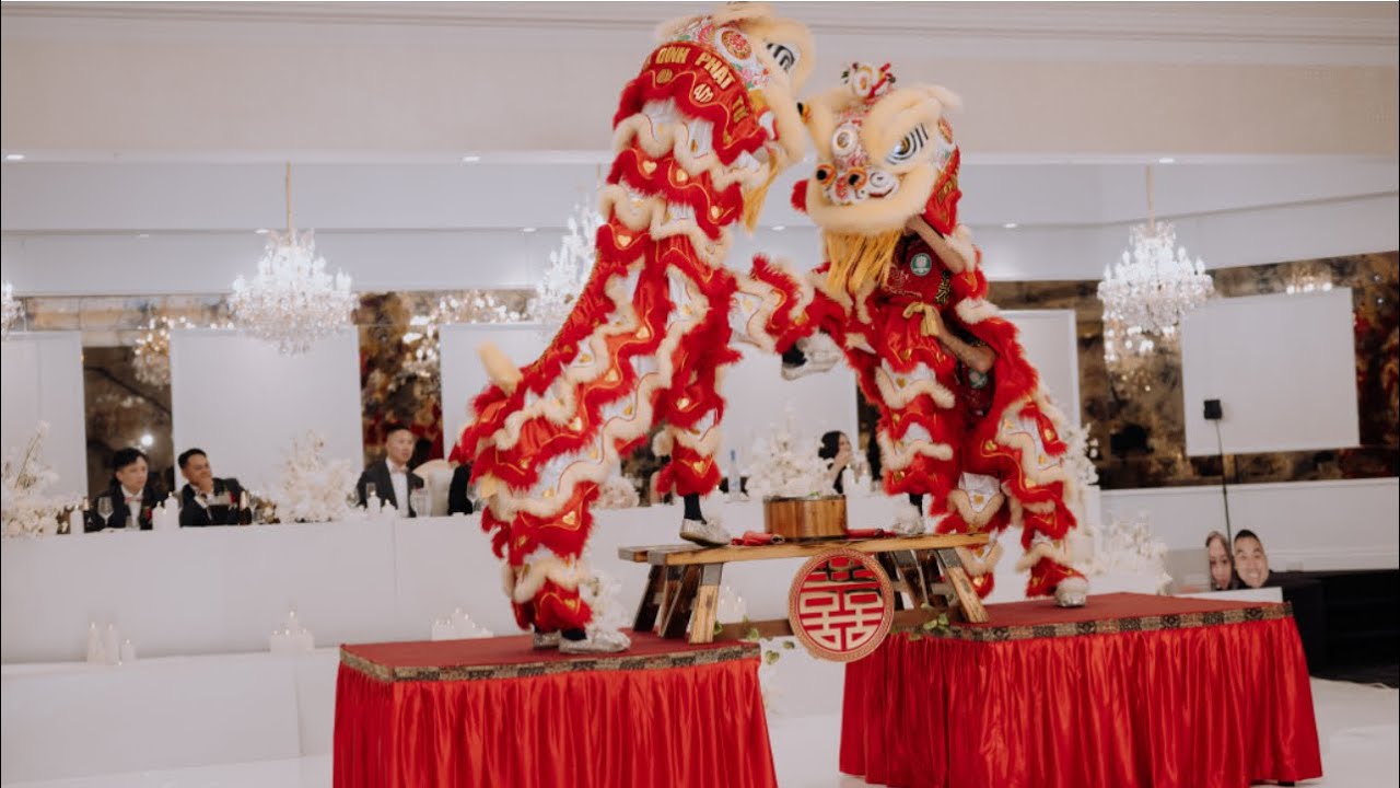 Dai Bi Quan Am Lion Dance | Wedding Performance | Bench & Table Routine