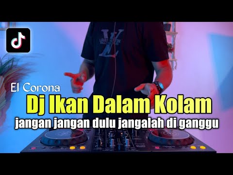 DJ IKAN DI