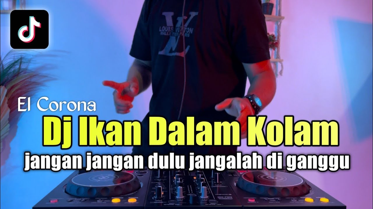 dj-ikan-di-dalam-kolam-remix-jangan-jangan-dulu-janganlah-diganggu