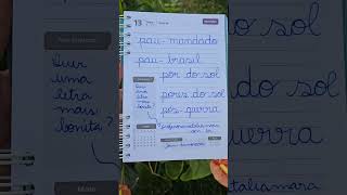 Copiando palavras do livro "Só Hífen" de Maria Tereza de Queiroz Piacentini #comoseescreve