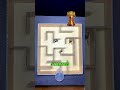Crab Maze Race | Who Wins? 🦀🏆
