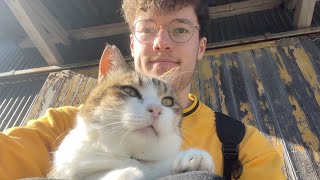 I Went To Japan's 'Cat Island'