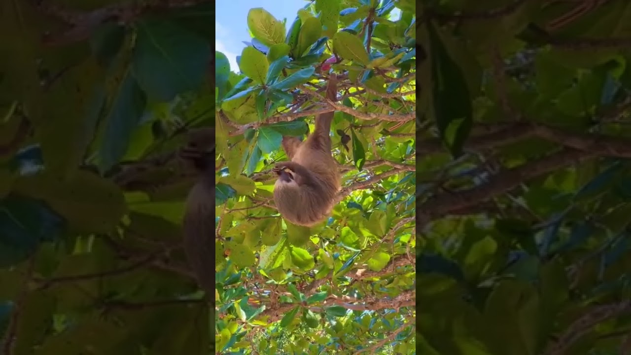 Costa Rica - Paradise on Earth!