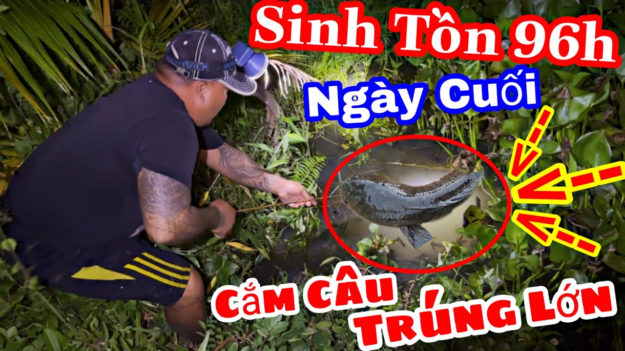 TXVL - Thánh Xàm Thử Thách Sinh Tồn 96h Ngày Cuối | Đêm Cắm Câu Định Mệnh