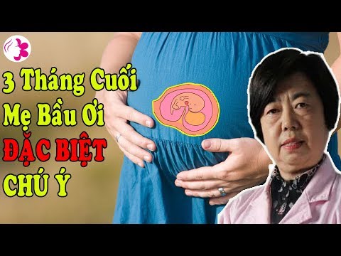 Mẹ Bầu Ơi, 3 Tháng CUỐI Cùng Đặc Biệt Chú Ý-Sự Thay Đổi,Hình Thành,Phát Triển Bà Bầu-Thai Nhi
