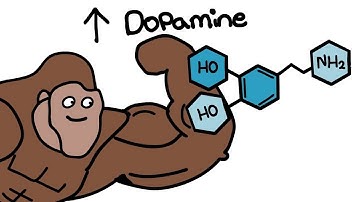 How To Increase Dopamine Naturally Explained By Ape