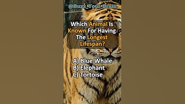 General Knowledge Quiz - Comment How many did you get?  #puzzles #quiz #learn #curiosity #trivia 