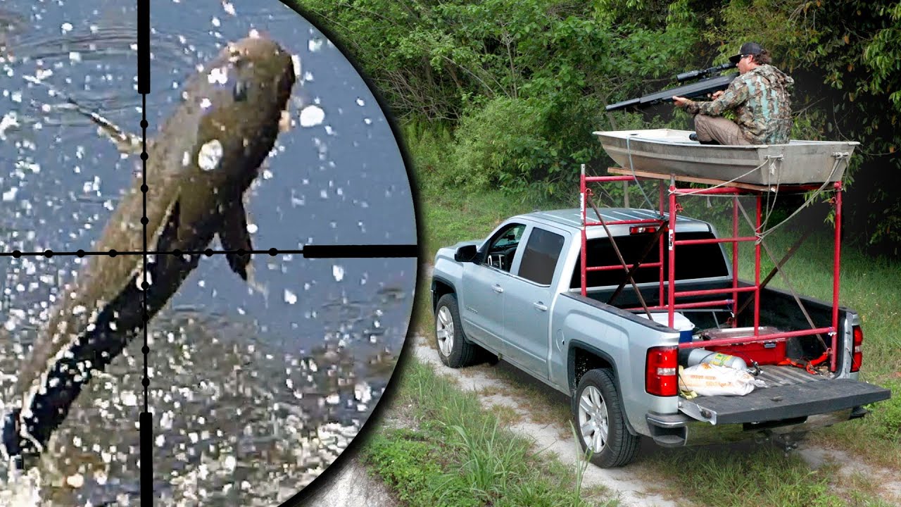 Air Gun Fishing YouTube