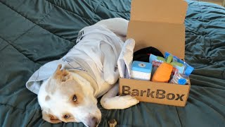 Bark Box - December - Big and Bold *free box code*