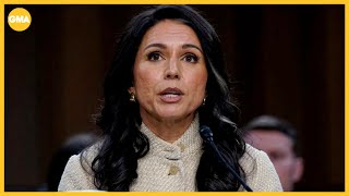 Tulsi Gabbard grilled by lawmakers on war with Iran