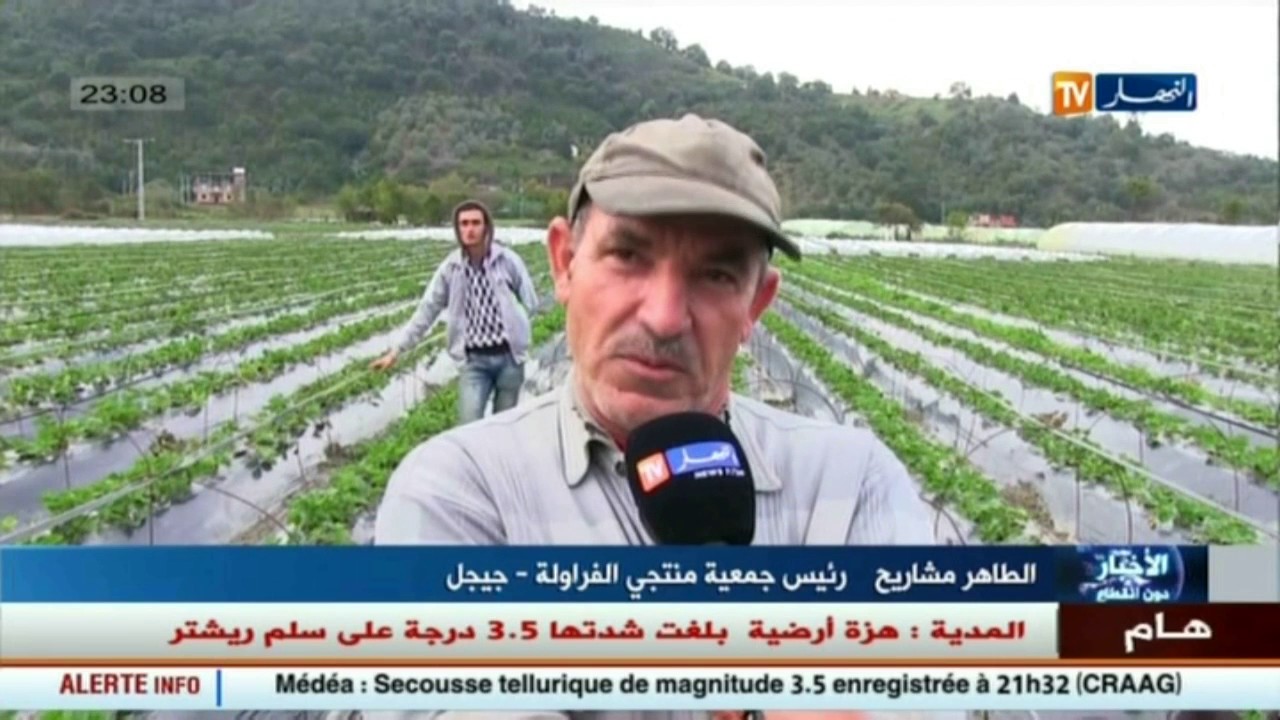 جيجل: إنتاج الفراولة مرهون بإستصلاح الأراضي الجبلية