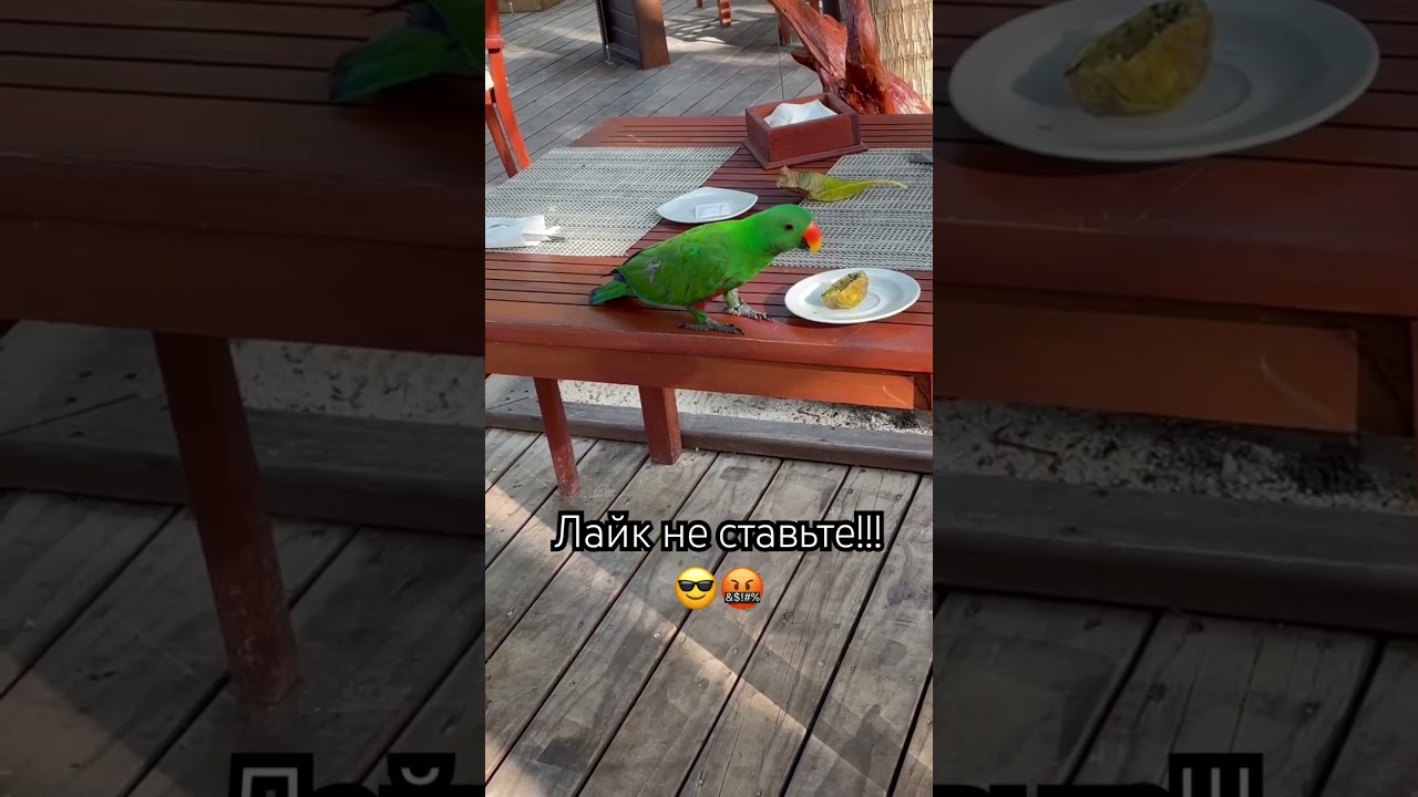 Прошу не ставить лайки 