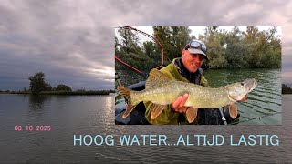 08 10 2025 Hoog Water Altijd Lastig Maar We Strikken Er Toch Een Paar