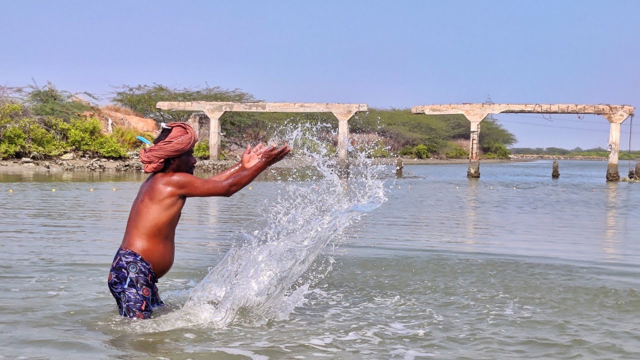 நச்சு வலையில் உலா முரல் மீன் பிடித்தோம்