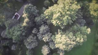 Lazy edit of lazy FPV practice :: Armattan Chameleon 5