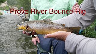 Fishing the Provo River with the Bounce Rig | BIG Brown Trout!