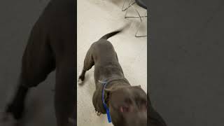 Black Panther 2-28-19 Super Sweet And Squishy