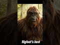 bigfoot:hunt the bags not women #funny #best #viral