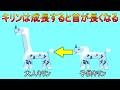 G級キリンがマッハすぎてS２倍な件について【MHP2G】
