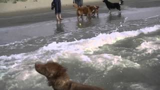 20150810 Noordwijk