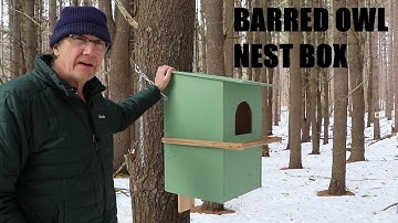 Barred Owl Nest Box Build
