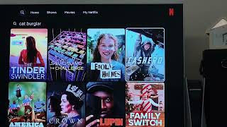 I Can't Find Cat Burglar On Netflix 
