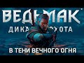 Ведьмак 3 Дикая Охота Mr. Cat ( Игра с Переносом Сохранения ) #17 НОВЫЙ КВЕСТ!