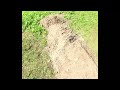 Rebuilding trails at my school, short longform